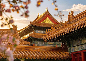 邯郸五台山+五爷庙+五台山+殊像寺+黛螺顶+显通寺+菩萨顶+龙泉寺二日游【邯郸出发五台山二日游】