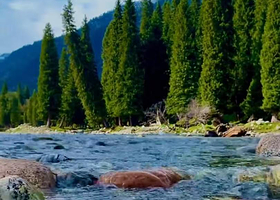 赛里木湖+那拉提草原+吐尔根杏花大峡谷四日游【追逐赛湖的蓝冰，邂逅吐尔根的粉色花海乌市起止4日2-6人拼小团】