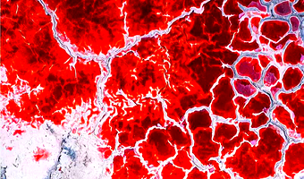 【私家团】银川腾格里沙漠五湖穿越乌兰湖/天鹅湖一日游【赠越野冲沙✦防沙头巾+无人机航拍✦五湖门票✦滑沙项目】