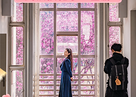 武汉东湖磨山景区+黄鹤楼+武汉长江大桥+湖北省博物馆+东湖樱花园一日游【樱花季*跟着春晚游武汉【武汉一日游】】