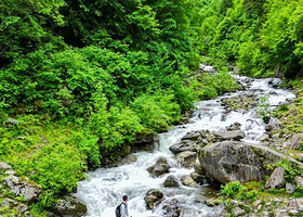 理小路一日游【可选古蜀道/甲尔猛措/古路村/喇叭河/东拉山|户外轻徒步|春季踏青赏花|天然氧吧】