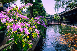 【私家团】广州宝墨园+南粤苑+余荫山房+沙湾古镇一天游，游广东四大名园+寻味美食，东莞全市可上门接送不拼客