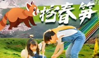 【住景区内|漂流季】茅山森林世界度假村1晚+茅山森林世界2日无限次门票+双早+丛林漂流/高空畅玩/小熊猫下午茶