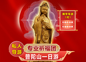 舟山普陀山风景区【资深-私人导游】普陀山导游讲解+线路多选一日私家团