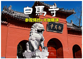 【门票套餐】白马寺成人票/儿童票+大咖现场讲解1小时+无线耳麦（可选含票预约/单讲解导游服务）