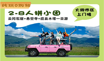 大同云冈石窟+悬空寺+应县木塔景区一日游【8人拼车自由玩，可升级独享/市区上门接，人少轻松游】