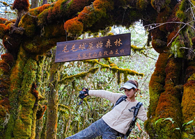 高黎贡山南段西支线毛毛球森林徒步3km/5km/7km/9km一日游