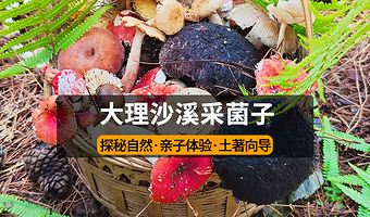 大理沙溪古镇一日游【采摘野生菌|亲子趣味体验|提供采菌装备|赠周城手工扎染体验|山林轻徒步】