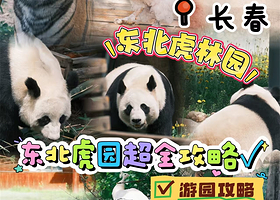 【距东北虎园车程9分钟】长春净月潭益田喜来登酒店住1晚+2张吉林省东北虎园+熊猫馆门票+酒店早餐