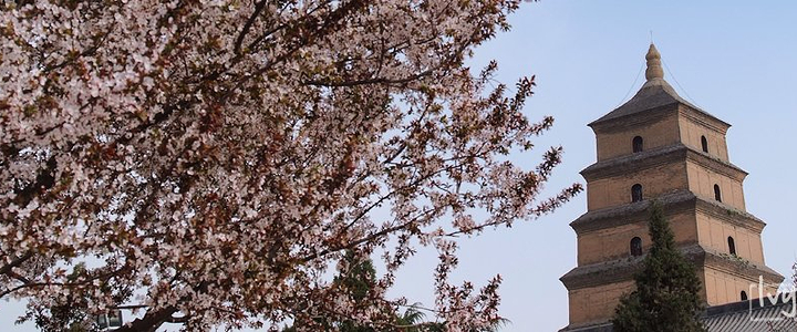 哈尔滨去西安旅游攻略