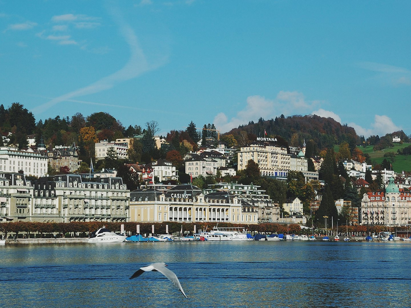 2014苏黎世旅游攻略,苏黎世自助游_周边游攻