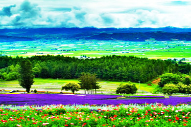 本州+北海道小樽富良野函馆6晚7天全程日本当