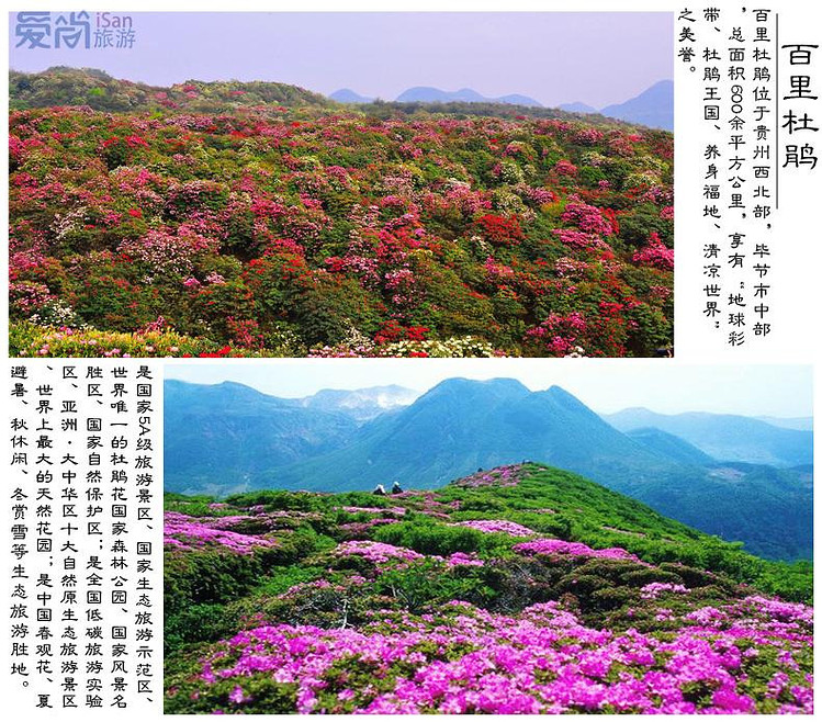 贵州旅游4天3晚 百里杜鹃 西江千户苗寨 马岭河峡谷西