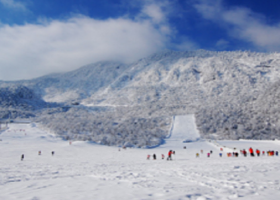 西岭雪山景区一日游【可选含门票+交通索道】