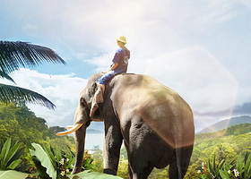 西双版纳野象谷+基诺山一日游【2-8人舒适小团+接送服务】