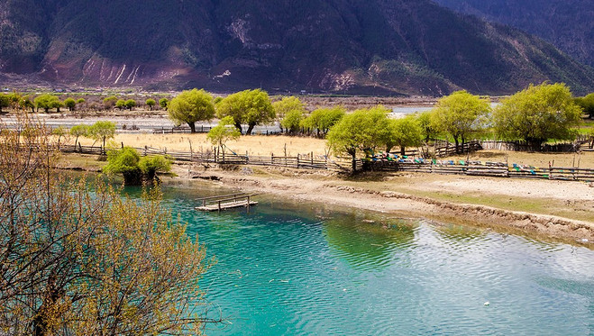 (西藏小瑞士)拉萨--林芝全景二日游(米拉雪山口