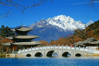 129e0d3ff0f59d5b93835fbb.jpg_r_390x260x90_8637ffc1.jpg