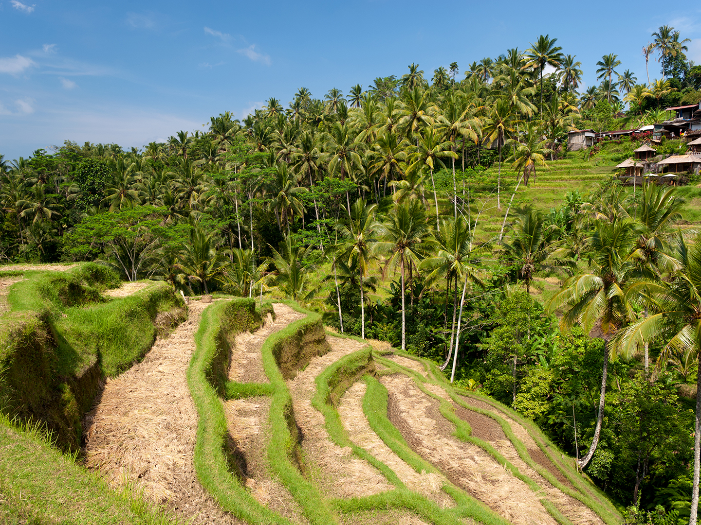 【北京出发巴厘岛4晚6天自由行团购】