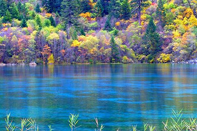 全网热卖 清明春游西安直飞九寨沟|九寨沟、牟