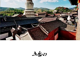 忻州五台山一日游【★含135门票★天天发团★祈福|求学|姻缘|还愿★资深讲解★多套餐选择】