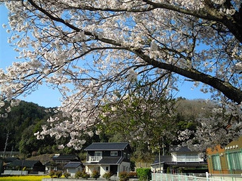 【包位特惠1980元\/人!】上海出发绵阳-九寨沟