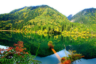 五心尊享-九寨沟、黄龙双汽6日游 【熊猫基地