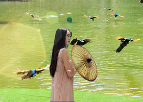 西双版纳野象谷+原始森林公园一日游【2-8人舒适小团】