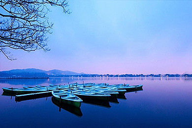 6aee41d65a95f35193835fbb.jpg_r_390x260x90_ad51fac9.jpg