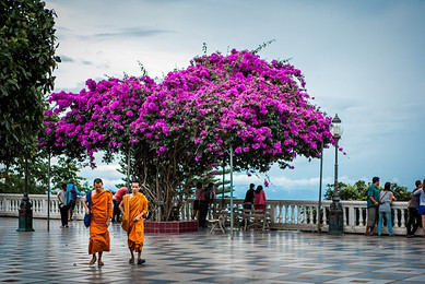 武汉跟团去泰国清迈 慢乐清迈、神秘清莱私享
