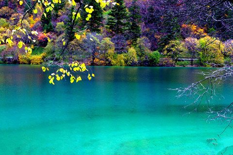 【成都出发至九寨沟、黄龙4天3晚跟团游团购