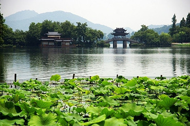 226f24c697813ea6c8d65eac.jpg_r_390x260x90_a2e40488.jpg