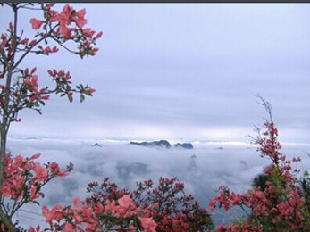 桂林象鼻山,尧山王府独秀峰,靖江一日游!上海出外滩桂林旅游住宿攻略图片