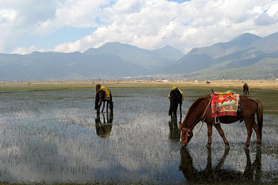 色温泉酒店精品半自由行HC_包含宁波到云南往