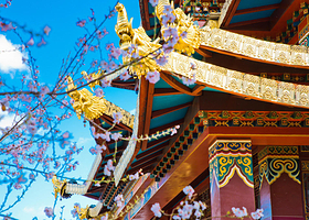 虎跳峡(香格里拉段)+独克宗古城+纳帕海(依拉草原)一日游【赠藏服旅拍+商务团+可选含松赞林寺】