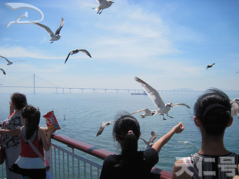 【天仁号】韩国首尔济州品质7日游 天津东疆码