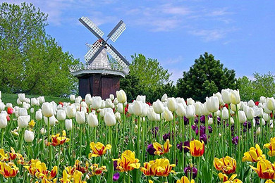 杭州-法瑞意荷+库肯霍夫】荷兰皇家航空公司!