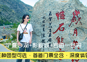 石嘴山沙湖旅游区+银川镇北堡西部影城+银川贺兰山岩画一日游【纯玩无购物·多套餐可选】