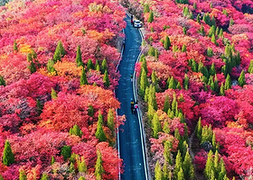 九如山风景区一日游【淄博出发】