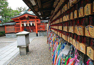 【第二人半价】【日本の北海道5日】【全程无