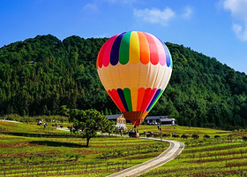 火山地热国家地质公园+北海湿地一日游【升级银杏村 热气球 悦椿温泉 热海公园 东山草原 2-6人小团】