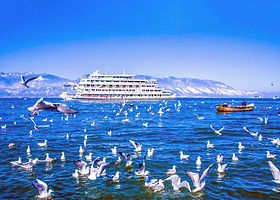 大理洱海游船一日游