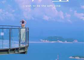 三亚亚龙湾热带天堂森林公园一日游【可选小团（含门票+上下山游览车+接送）】