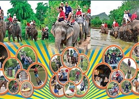 【玩转芭提雅象村】芭堤雅一日游大象村沙发里 骑大象/骑马/沙滩车/越野车/卡丁车 含酒店接送