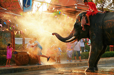 国特产燕窝展示中心、金沙岛、珊瑚岛、罗马国