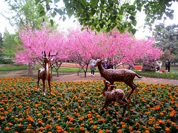 天天发团成都到北京+天津双飞5天4晚,纯玩0购