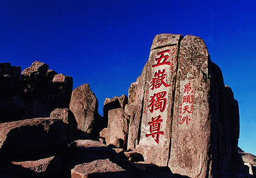 44dcc7868f7072feffffffffc8d65eac.jpg_r_390x260x90_1dae221e.jpg