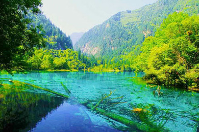 火热爆款,位置秒杀九寨沟、特色藏寨、灌县古