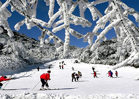 【双人酒景套餐】金佛山套票（西坡门票+索道及中转车）+天星温泉票+含双早丨可选滑雪