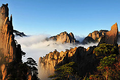 众安国旅-客服电话:4001-890-181-去哪儿网Qu