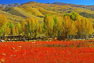 成都直飞稻城亚丁双飞纯玩3日游 稻城亚丁飞机